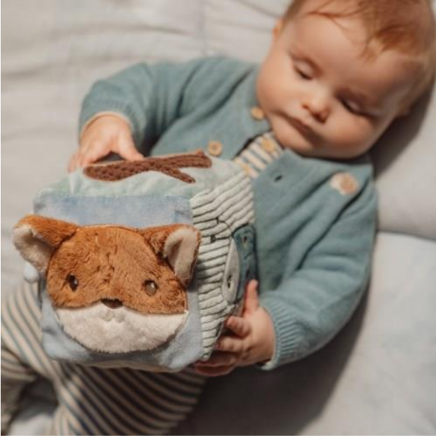 Cubo atividades - Forest Friends