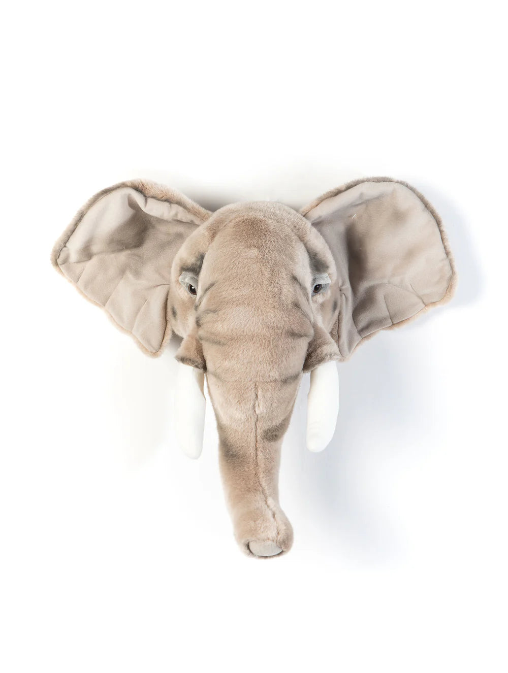 Cabeça de Parede  - elefante