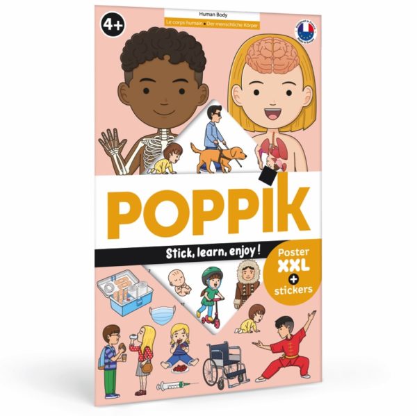 Póster Poppik + pegatinas - Cuerpo Humano