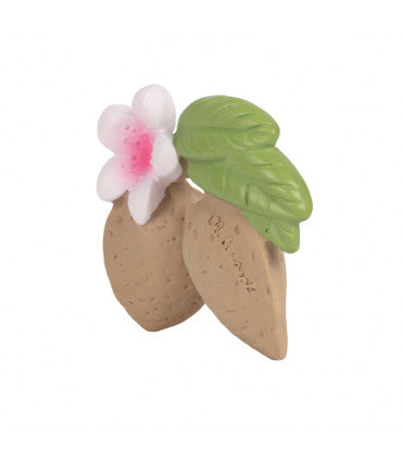 Mordedor - Aly the Almond