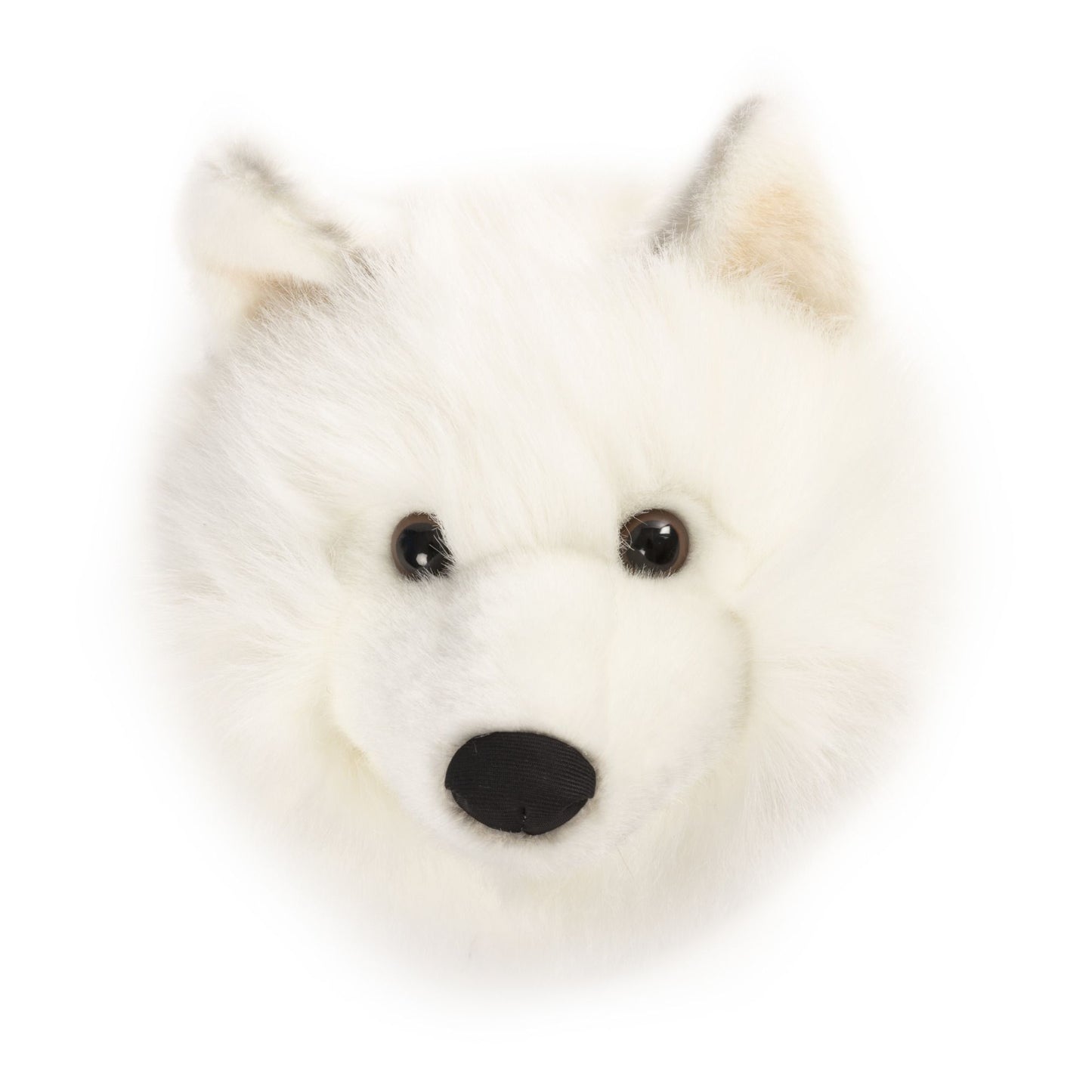 Lobo branco - decoração de parede