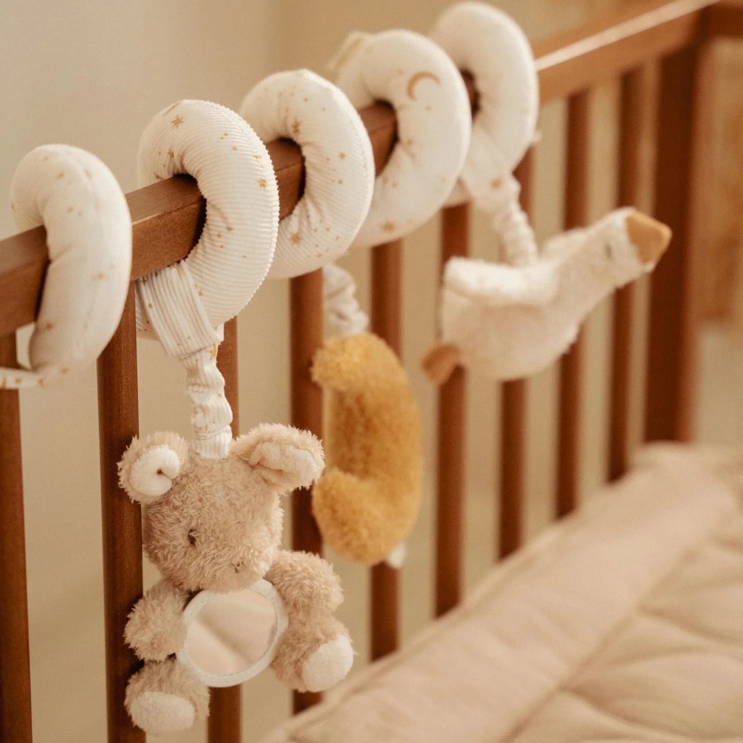 Espiral de Atividade - Newborn Naturals