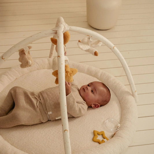 Tapete de atividades - Newborn Naturals
