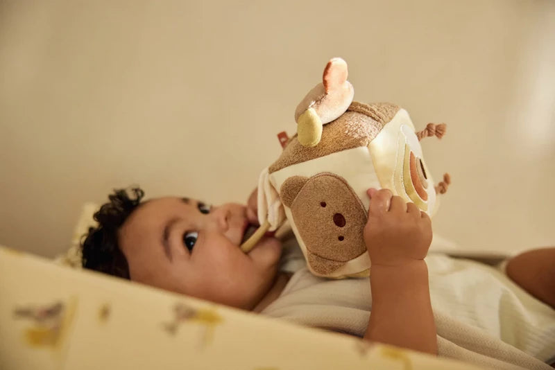 Cubo atividades - Kangaroots