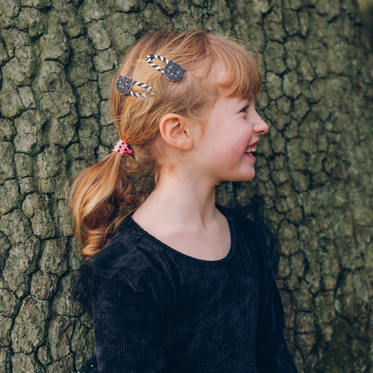 Ganchos de Gatos Listrados