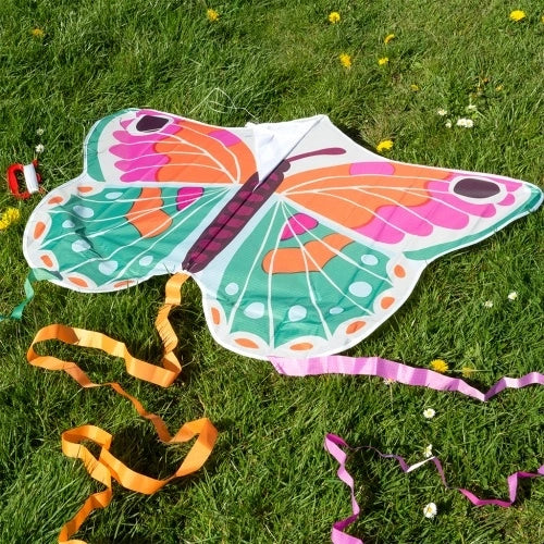 Papagaio Gigante - Borboleta