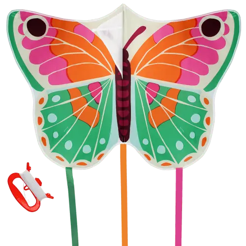 Papagaio Gigante - Borboleta
