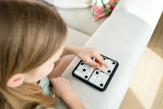 Dice Deduction - Jogo de Lógica