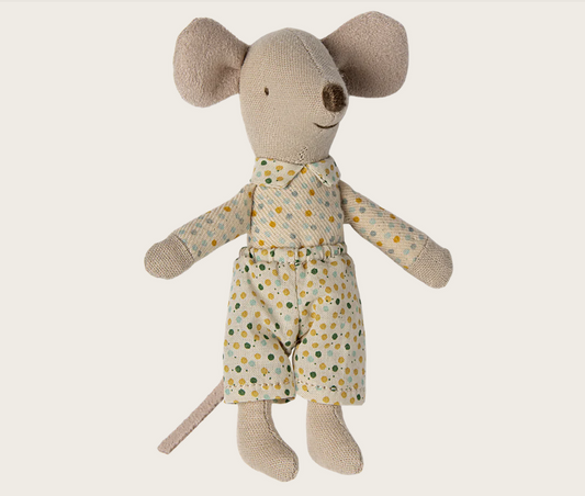 Irmão rato em caixa de fósforos