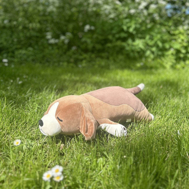 Peluche almofada -  Beagle