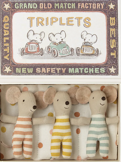 Trigémeos, ratinhos bebés na caixa de fósforos