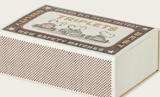 Trigémeos, ratinhos bebés na caixa de fósforos