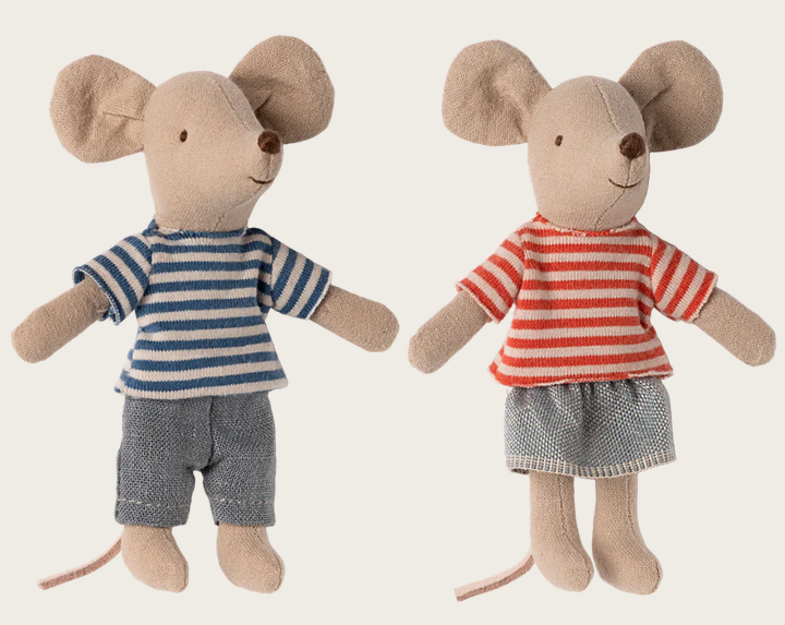 LouiMax e Stella, ratinhos irmãos