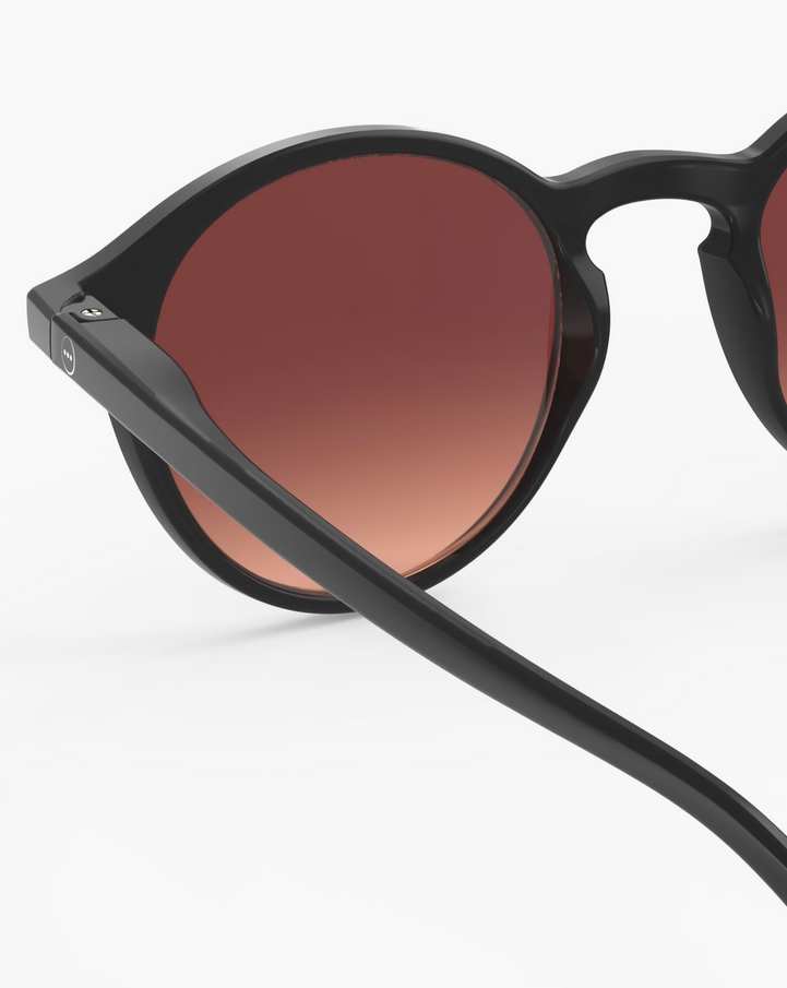 Óculos Izipizi - adulto D Black Road Polarized