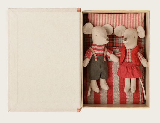 Ratinhos gêmeos de Natal, irmãzinha e irmãozinho, em livro
