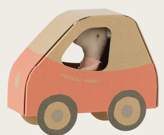 Motorista, ratinho, irmãzinha