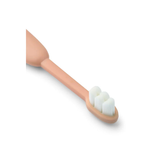Escova dos Dentes - Urso/Coelho