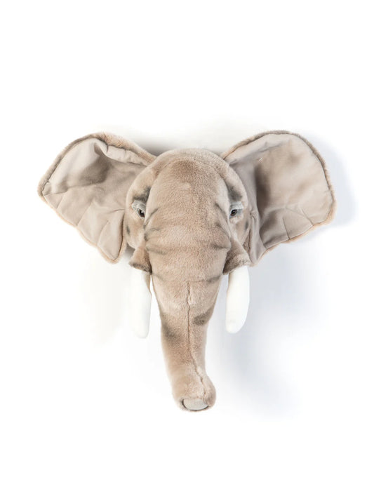 Cabeça de Parede  - elefante