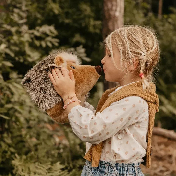 Animal de parede - Ouriço Cacheiro