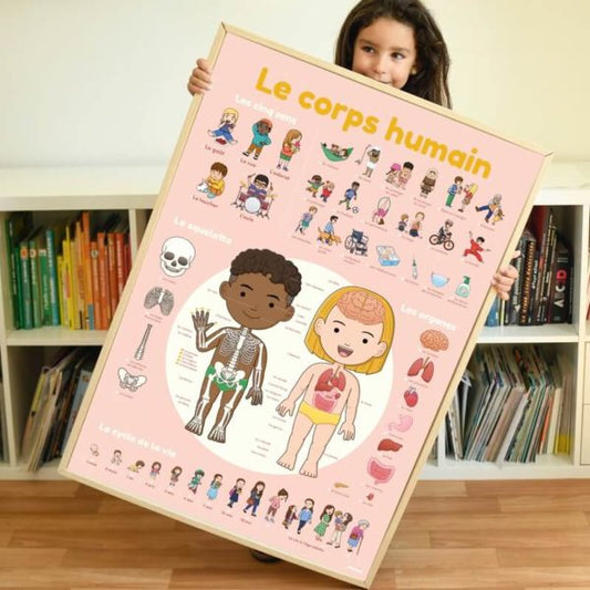 Poppik poster + autocolantes - Corpo Humano