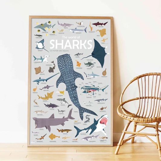 Poppik poster + autocolantes - Tubarões