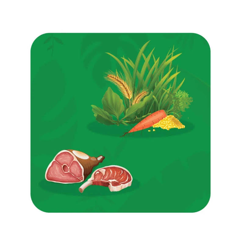 Adivinha em 10 JUNIOR ANIMAIS DO MUNDO