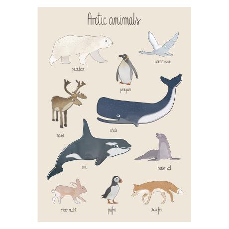 Estampado animales árticos 50x70