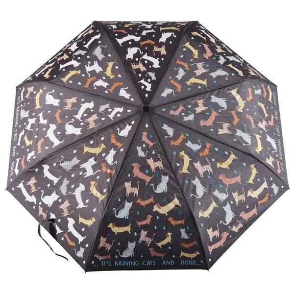 Guarda-chuva de mudança de cor para crianças grandes - Chovendo cães e gatos