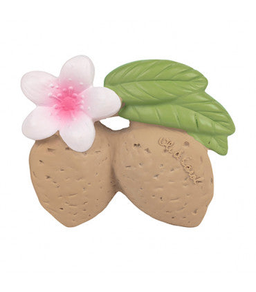 Mordedor - Aly the Almond